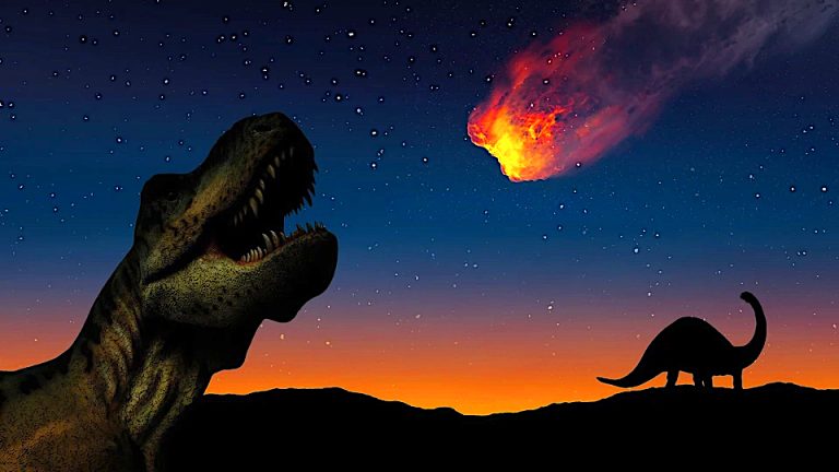 Worry Not, The AI Apocalypse! Even The Dinosaurs Were No Match For The Heavens!
