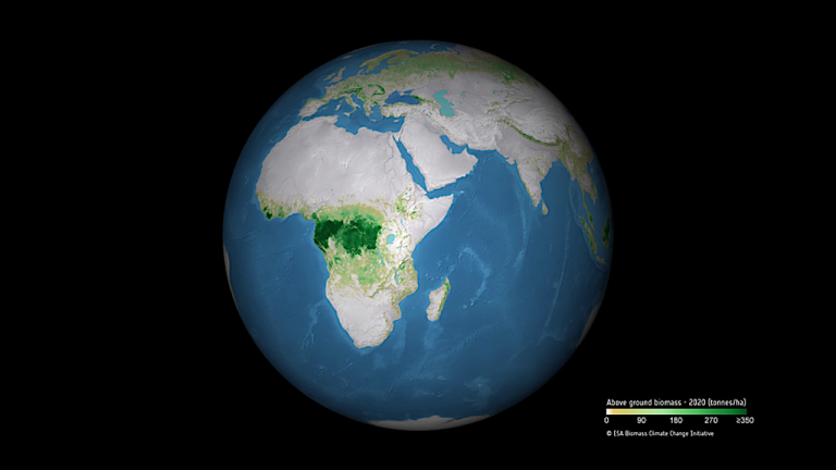 Monitoring Fluctuating Forest Carbon From Space