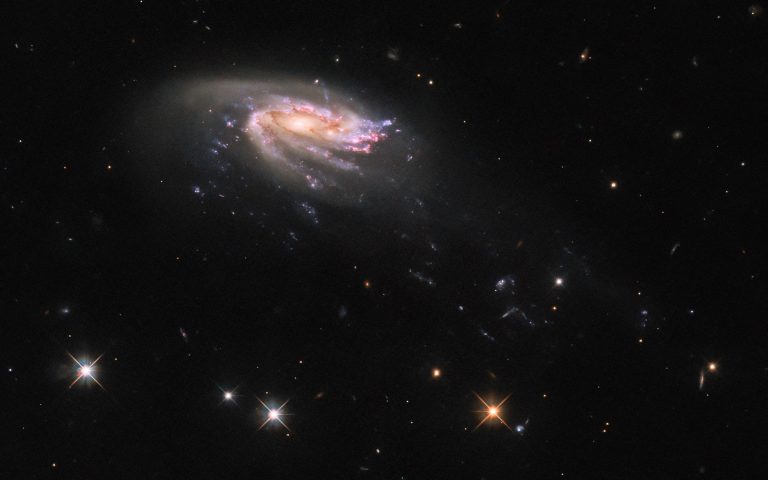 Hubble Observes A Cosmic Sea Creature