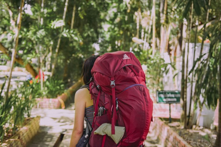 The Summer Adventures : Hiking and Nature Walks Essentials